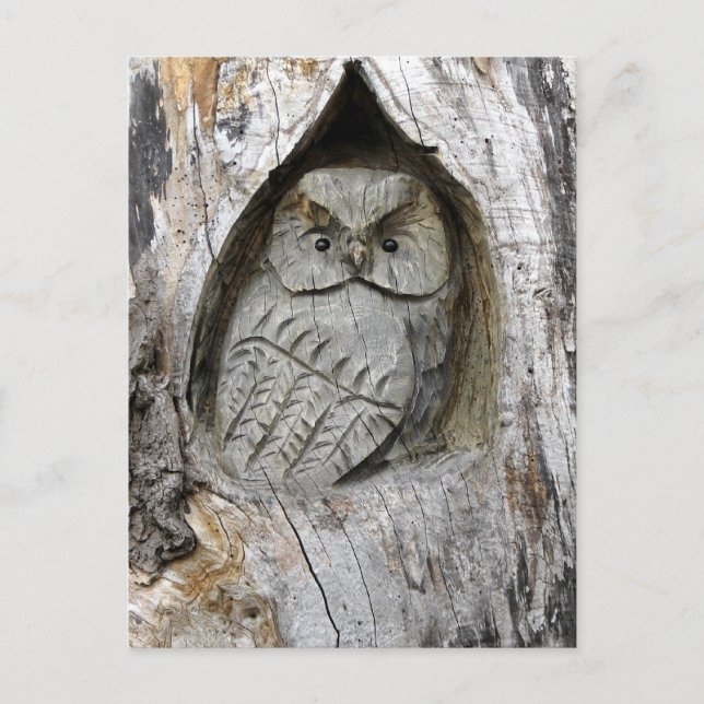 Carte Postale Centre Nature et Art (Devant)