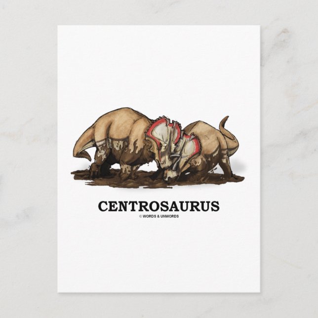Carte Postale Centrosaurus (Devant)