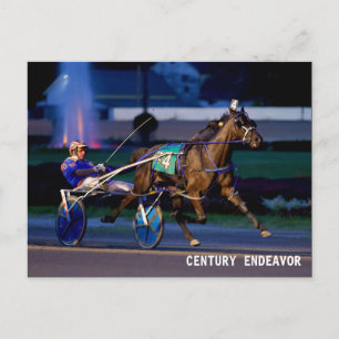 CARTE POSTALE CENTURY ENDEAVOR