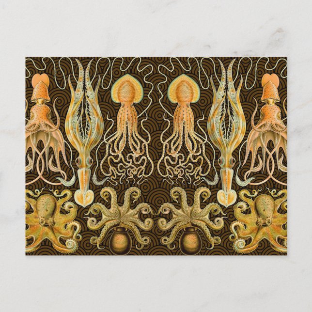 Carte Postale Cephalopod poulpe calmar Nature marine (Devant)