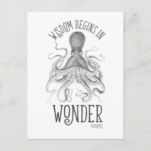 Carte Postale Céphalopode Socratique