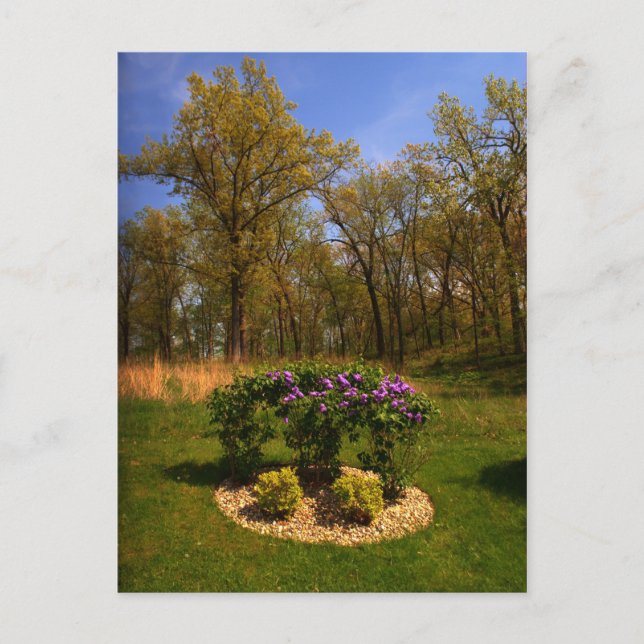 Carte Postale Cercle De Beauté (Devant)