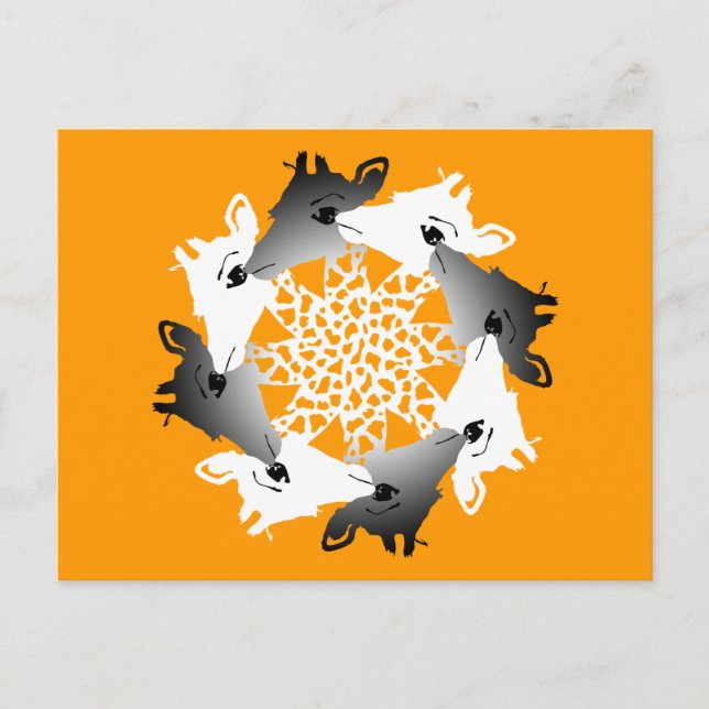 Carte Postale cercle de girafes (Devant)