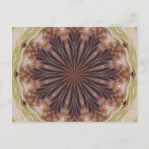 Carte Postale Cercle de plumes