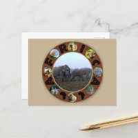 Cercle d'éléphants de la faune africaine