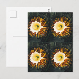Carte Postale Céréus de nuit fleuris vintage Art gothique