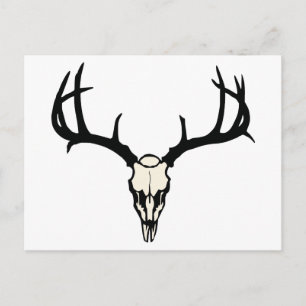 Carte Postale Cerf