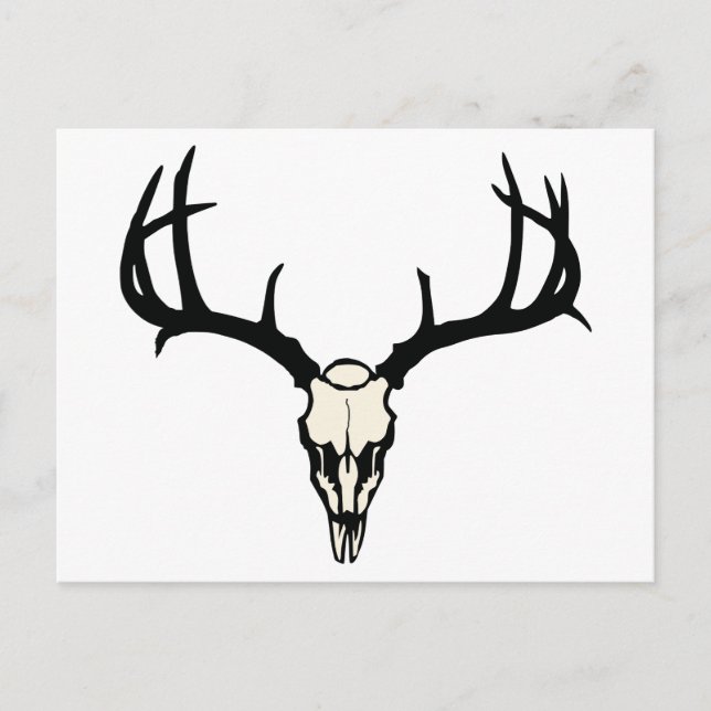 Carte Postale Cerf (Devant)