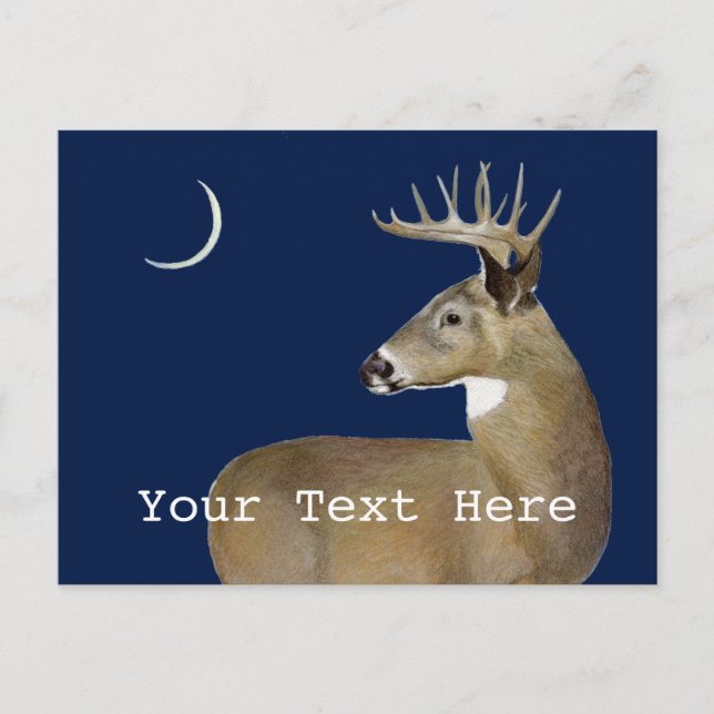 Carte Postale Cerf à queue blanche (Devant)