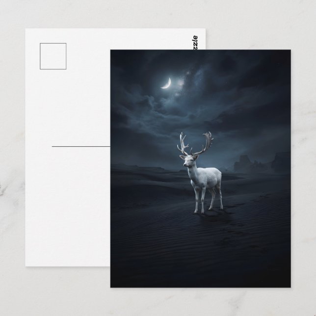 Carte Postale Cerf blanc dans le désert nocturne (Devant / Derrière)