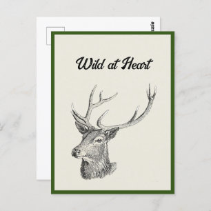 Carte Postale Cerf Buck Head avec Antlers Black and White Art