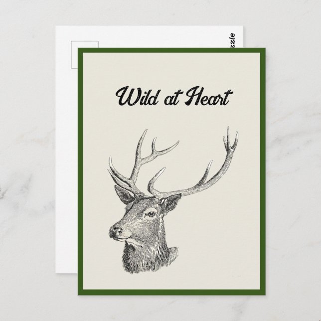 Carte Postale Cerf Buck Head avec Antlers Black and White Art (Devant / Derrière)