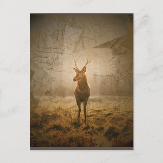 Carte Postale Cerf dans la forêt (Devant)