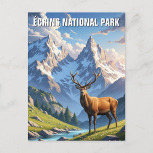 Carte Postale Cerf dans le Parc national des Écrins France Voyag