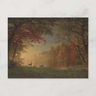 Carte Postale Cerf de couché de soleil indien au bord d'un lac