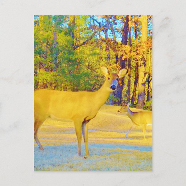Carte Postale Cerf de couleur moutarde avec bleu clair (Devant)