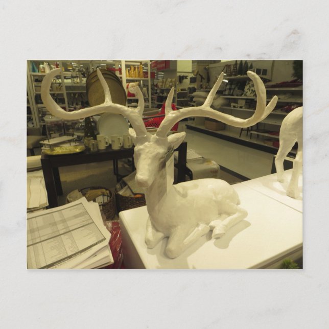 Carte Postale Cerf décoratif (Devant)