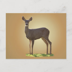CARTE POSTALE CERF EN COURANT