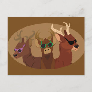 Carte Postale Cerf portant des lunettes de soleil