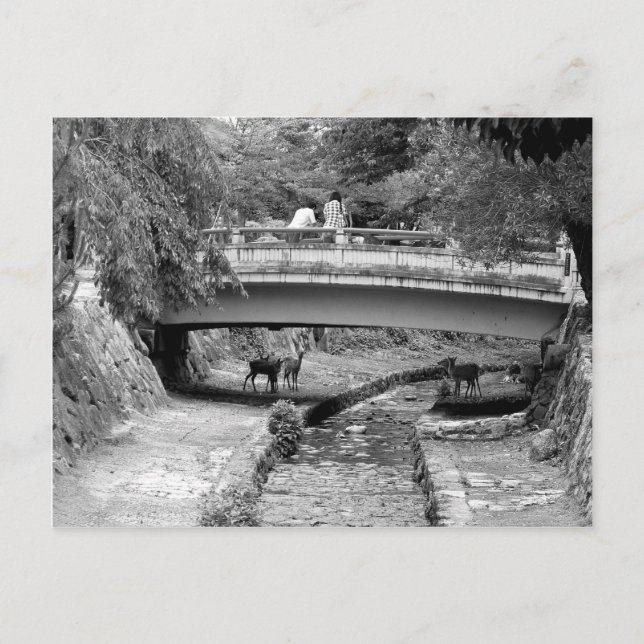 Carte Postale Cerf sous un pont japonais (Devant)