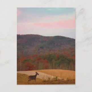 Carte Postale Cerf sur le golf au coucher du soleil