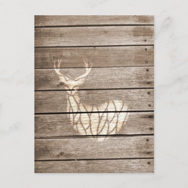 Carte Postale Cerf urbain (Devant)