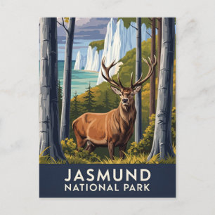 Carte Postale Cerfs dans le parc national de Jasmund Allemagne V