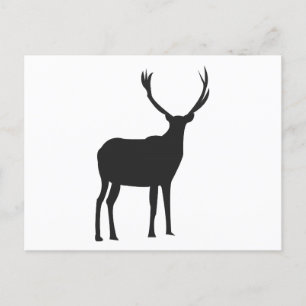 Carte Postale Cerfs Jolies Bois