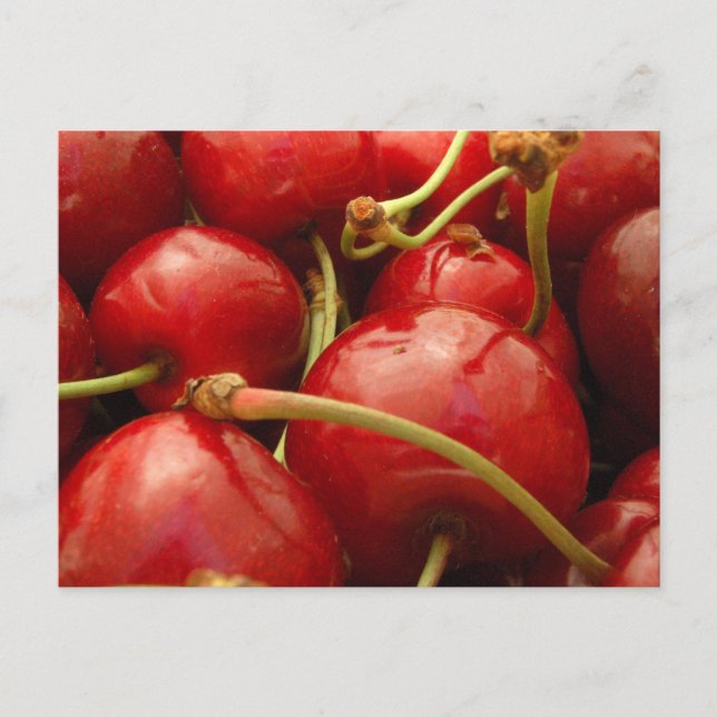 Carte Postale Cerises fraîches (Devant)