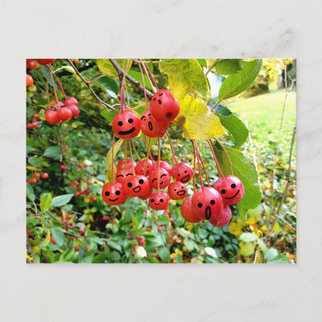 Carte Postale Cerises Mignonnes (Devant)