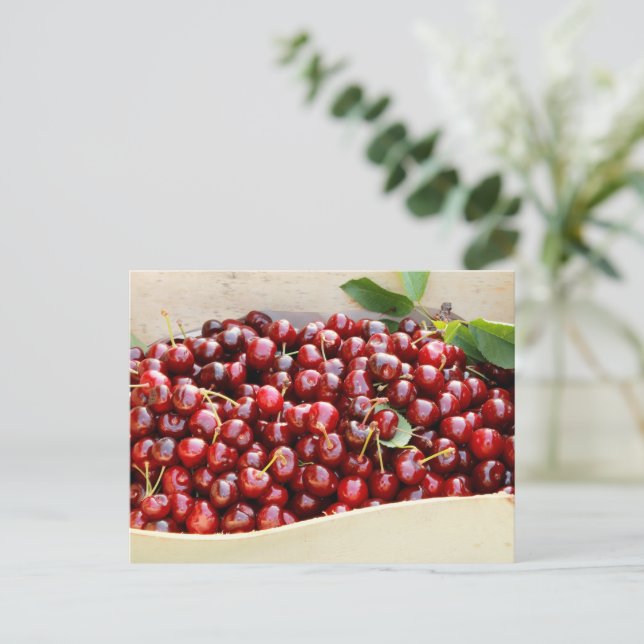 Carte postale Cerises rouges (Debout devant)