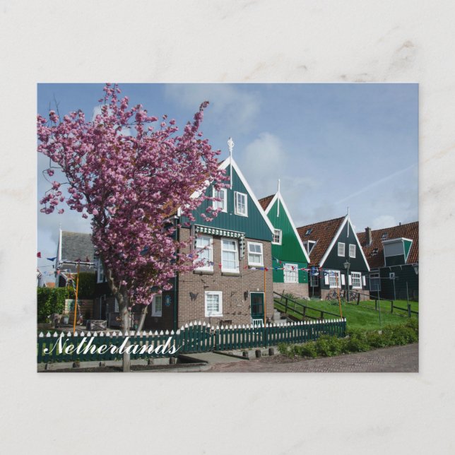 Carte Postale Cerisier en fleur à Marken, Pays-Bas (Devant)