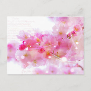Carte Postale Cerisier japonais aux fleurs rose pastel