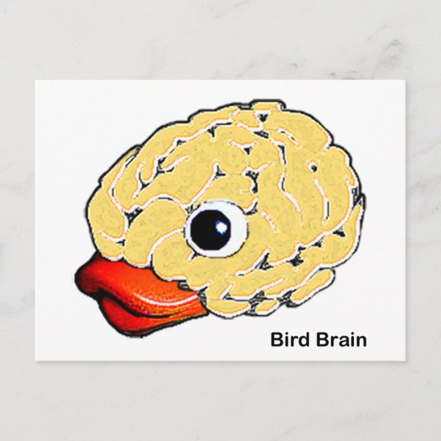 Carte Postale Cerveau d'oiseaux (Devant)