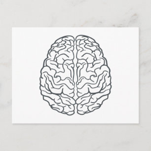 Carte Postale Cerveau humain