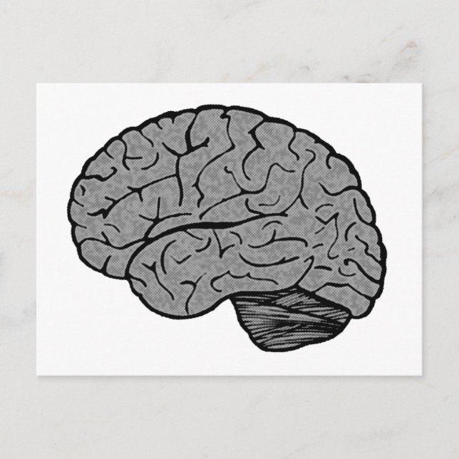 Carte postale Cerveau Stylisée (Devant)