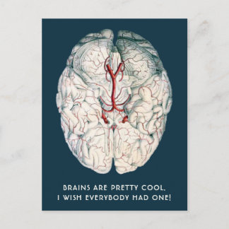 Carte Postale Cerveau Vintage Drôle "Je Souhaite Que Tout Le Mon