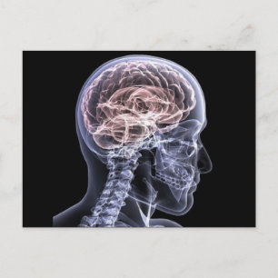 Carte Postale Cerveau X-Ray