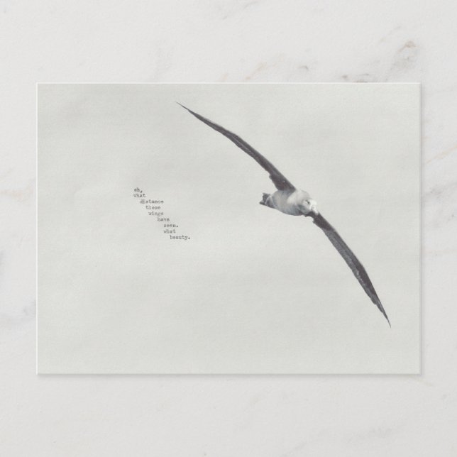 Carte Postale "ces ailes" (Devant)