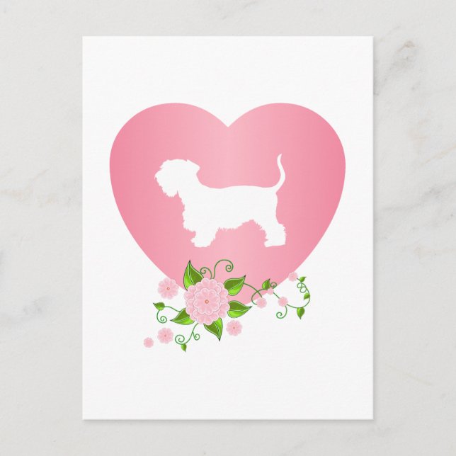 Carte Postale Cesky Terrier (Devant)