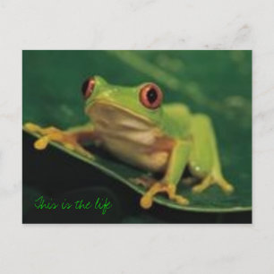 Carte Postale C'est la vie