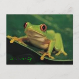 Carte Postale C'est la vie