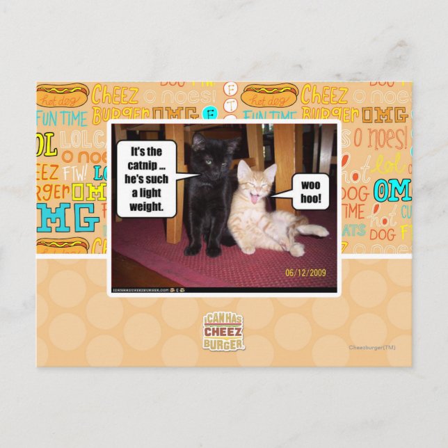 Carte Postale C'est le catnip (Devant)
