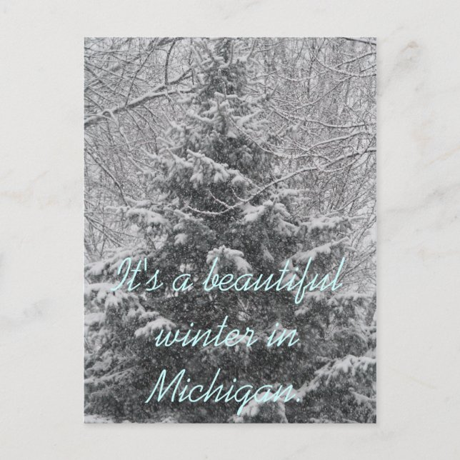 Carte Postale C'est un bel hiver dans le Michigan (Devant)