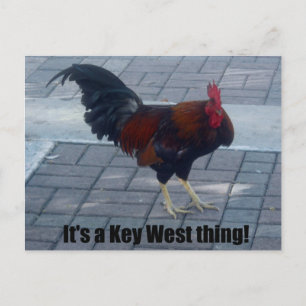 Carte Postale C'est un truc de Key West !