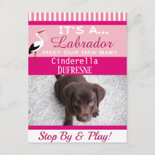 Carte Postale C'est une Faire-part "New Pet"