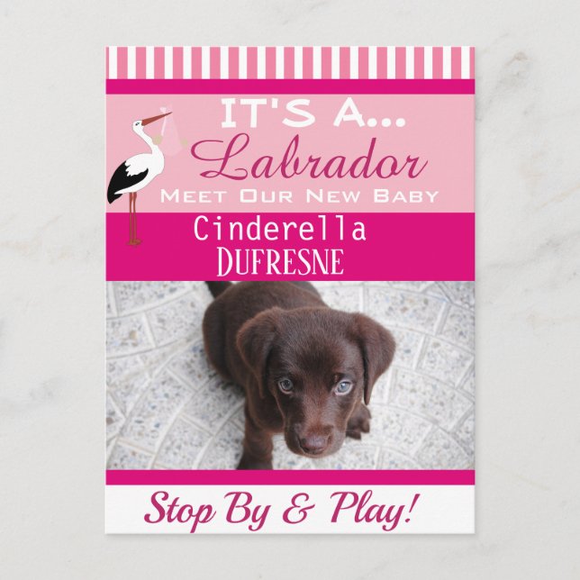 Carte Postale C'est une Faire-part "New Pet" (Devant)