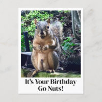 C'est votre anniversaire, devenez fou ! Blague drô