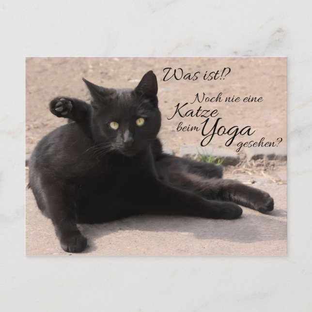 Carte Postale C'était ça ? ! ? Noch nie eine Katze beim Yoga ges (Devant)
