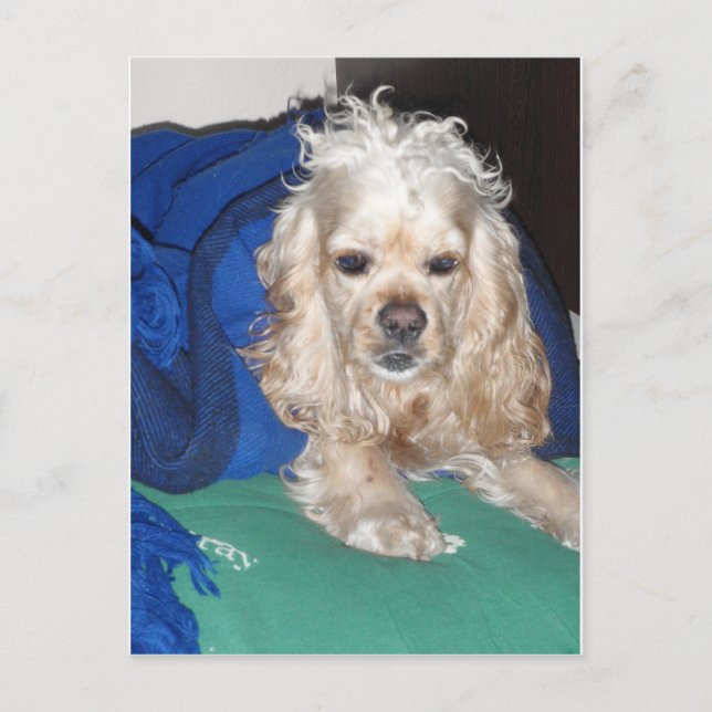 Carte Postale C'était une nuit difficile (Devant)